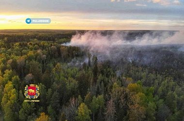 Фото: Лесной пожар в Вороновском районе: подробно о причинах и ликвидации происшествия