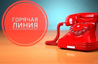 Фото: «Горячая линия» по вопросам охраны окружающей среды