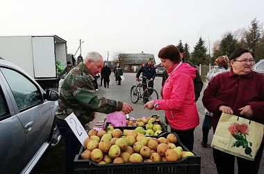 Фото: В г. п. Порозово прошла сельскохозяйственная ярмарка