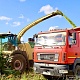 Фото: В Беларуси намолотили более 1 млн тонн зерна кукурузы
