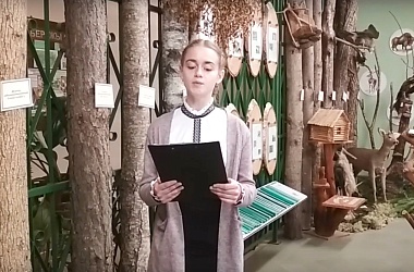 Фото: Экскурсия в музей леса