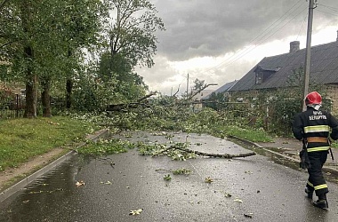 Фото: В Гродненской области из-за непогоды в 67 населенных пунктах нарушалось электроснабжение