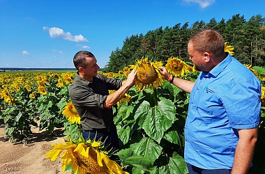 Фото: Черное золото Беларуси
