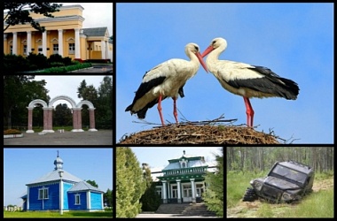 Фото: Жить здорОво – здОрово!