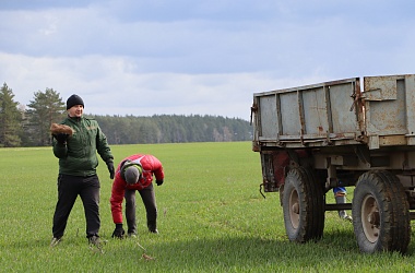 Фото: Помощь лишней не бывает! С 26 марта в УСП «Совхоз «Великосельский» на помощь полеводам сельхозпредприятия ежедневно приезжают работники ОАО «ГТФ «Неман»