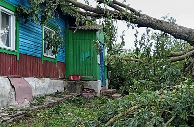 Фото: Спасатели рассказали о последствиях непогоды в Гродненской области