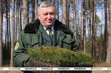 Фото: Александр Лукашенко отметил высокое профессиональное мастерство работников лесного хозяйства и деревообработки