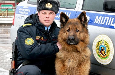 Фото: Работа и хобби: два в одном
