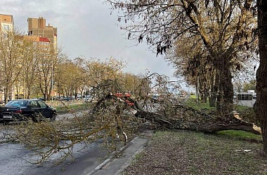 Фото: Последствия сильного ветра ликвидировали спасатели в Гродненской области