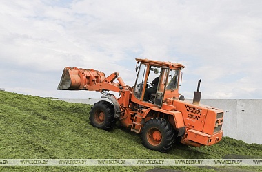 Фото: Lukashenko warns against negligence in agriculture