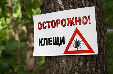 Фото: Осторожно, клещи! Напоминаем правила, которые помогут избежать столкновения с этими насекомыми