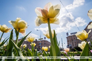 Фото: У Беларусі пацяплее ў другой палавіне тыдня