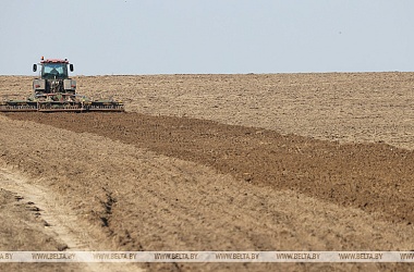 Фото: Early spring crops sowing progress past 25% in Belarus