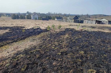 Фото: Два загорания травы за сутки