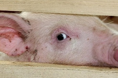 Фото: ﻿АЧС: что нужно знать