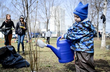 Фото: В Минтруда напомнили о правилах безопасности во время осеннего республиканского субботника