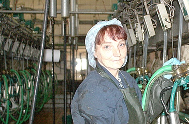 Фото: На любимую работу –  с удовольствием