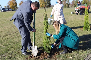 Фото: Новые деревья появились у мемориального комплекса «Асілак»