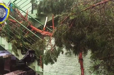 Фото: Буря застигла детей на концертной площадке в лагере под Речицей. Погиб мальчик, шестеро пострадали