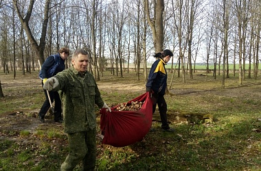 Фото: В парке чисто и свежо