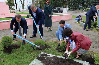 Фото: В День народного единства в Свислочи посадили туи