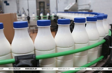 Фото: В Беларуси в I полугодии производство молочной продукции возросло почти на 3%
