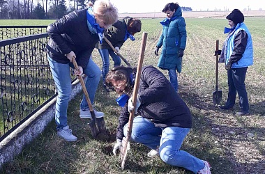 Фото: Деревца памяти