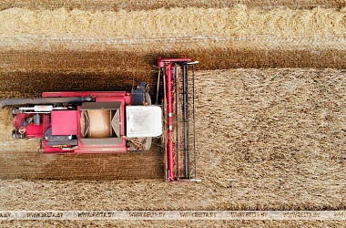 Фото: Belarus harvests over 4.8m tonnes of grain