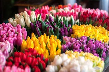 Фото: О торговле цветами