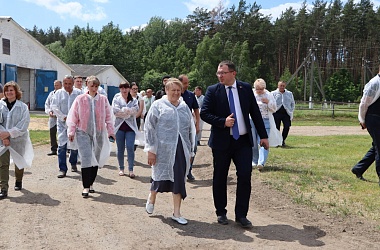 Фото: Итоги работы отрасли животноводства за пять месяцев подвели в Свислочском районе