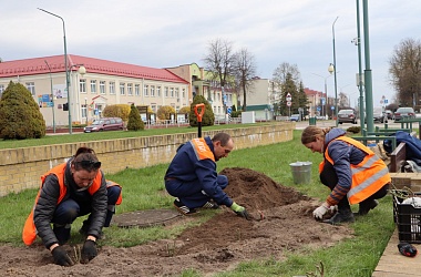 Фото: Все – к лучшему!