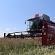 Фото: На Гродненщине намолочено 1 млн 832 тысяч тонн зерна