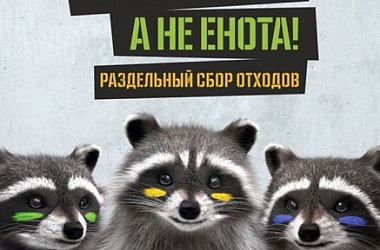 Фото: Наша забота, а не енота