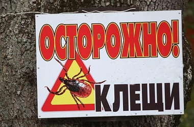 Фото: Заболеваемость болезнью Лайма в Беларуси выросла в 1,4 раза