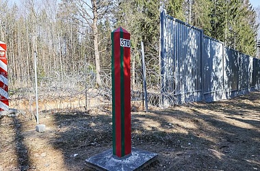 Фото: "Памятники человеческой бездумности". Польская газета рассказала, чем может обернуться строительство забора в Беловежской пуще