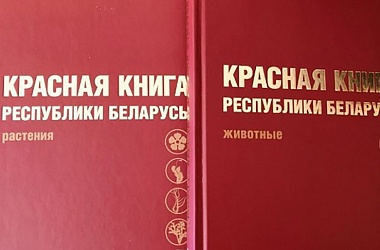Фото: Готовится 5-е издание Красной книги Беларуси