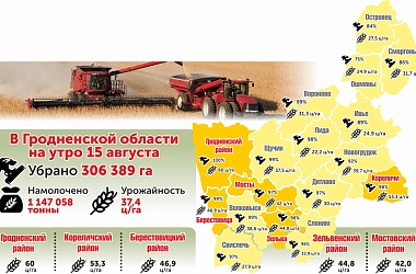 Фото: В регионе намолочено более 1 147 000 тонн зерна нового урожая