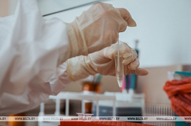 Фото: Belarus reports 80,503 coronavirus recoveries