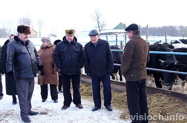 Фото: Где молоко,  там и деньги