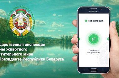 Фото: Прием и прямая линия: Гродненская областная инспекция охраны животного и растительного мира