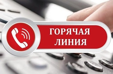 Фото: «Горячая линия» для пожилых