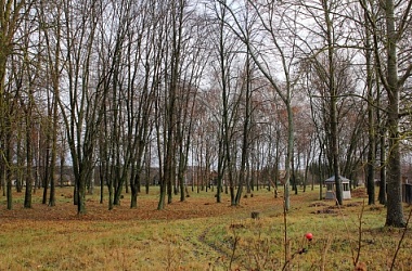 Фото: Порозовский сельисполком реализует проект «Вторая жизнь векового парка»