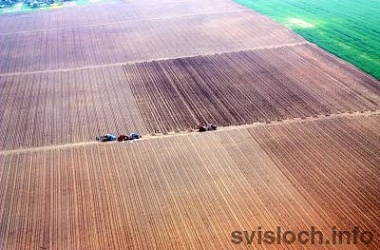 Фото: С высоты птичьего полета