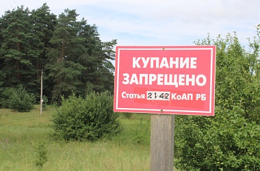 Фото: Чтобы не было беды