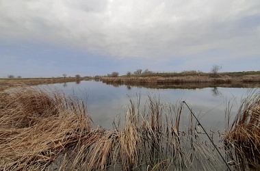 Фото: «Фото недели»: чей снимок будет лучшим?