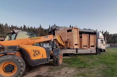 Фото: Belovezhskaya Pushcha sends batch of bison to Russia's Kostroma Oblast
