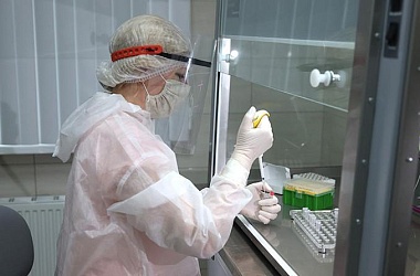 Фото: "Резкого подъема заболеваемости COVID-19 нет". Эксперт об эпидситуации в Беларуси