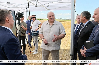 Фото: Александр Лукашенко в полях инспектирует ход уборочной кампании
