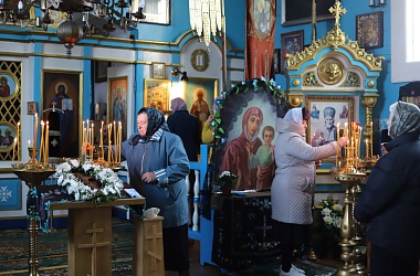 Фото: Доброволя встречала Архиепископа Антония  
