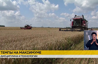 Фото: Уборочная-2025: намолоты приближаются к 4 млн зерновых с учетом рапса